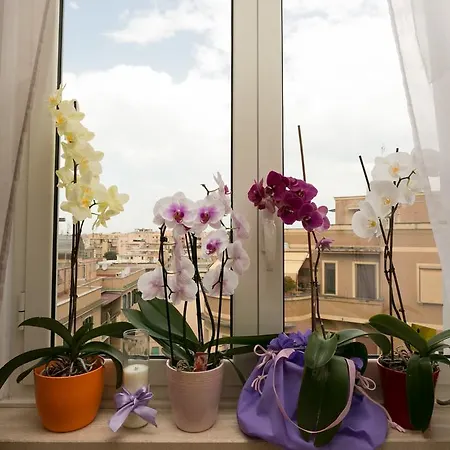 Bed & Breakfast La Duchessa A